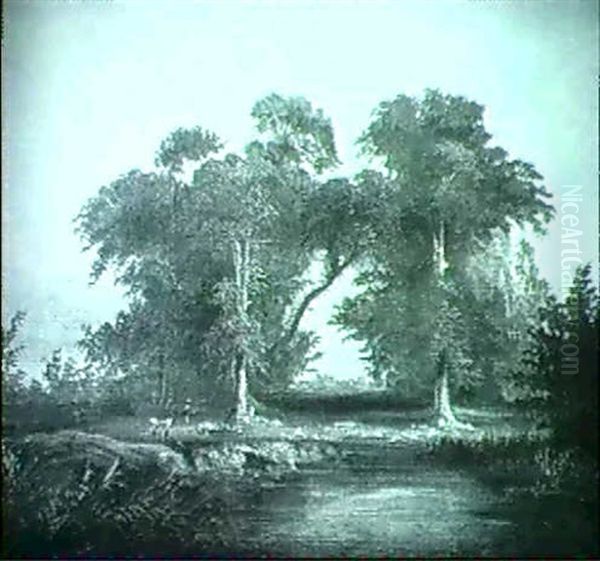 Baumbestandene Sommerlandschaft - view 1