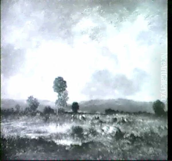 Auf Der Weide - view 1