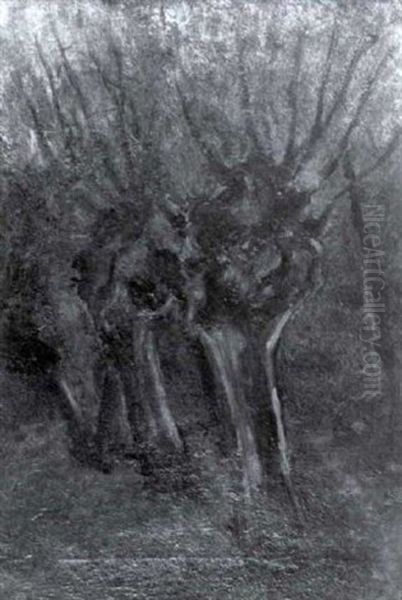 Les Saules - view 1