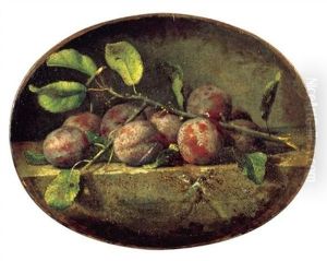 Nature Morte A La Branche De Prune Posee Sur Un Entablement