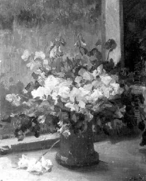 Pois De Senteurs - view 1