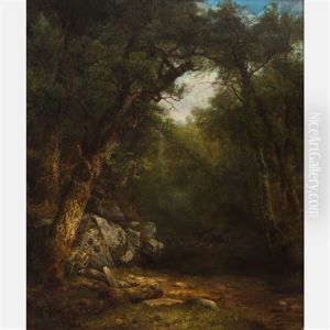 The Butternut Tree, Study From Nature, Lake George, New York by Asher Brown Durand