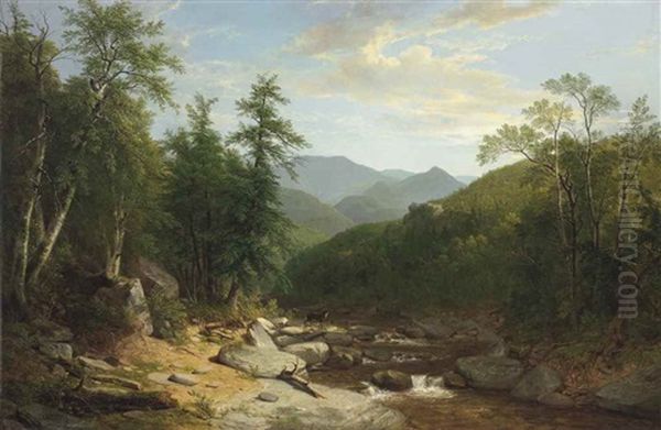 Mountain Stream - view 1