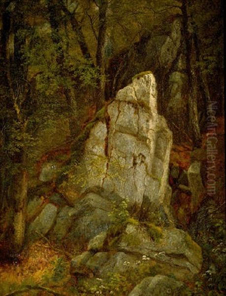Rocks In Pearson's Ravine - view 1