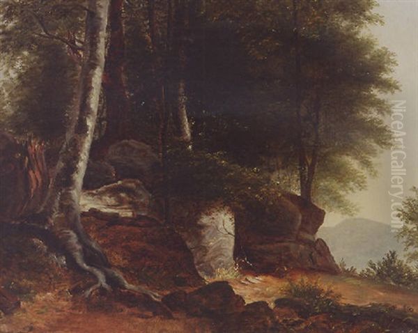 Nature - view 1