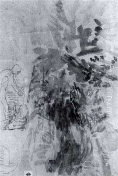 Landscape Study - view 1