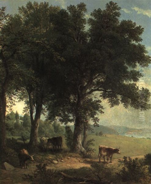 In The Shade Of The Old Oak - view 1