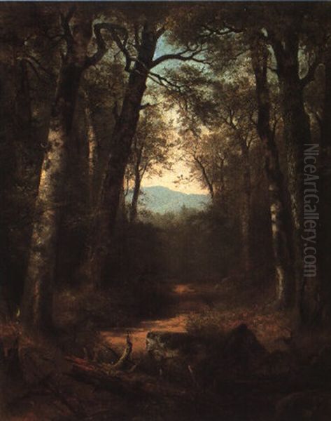 The Way Through The Woods - view 1