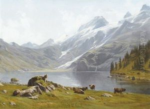 Der Engstlensee Mit Weidenden Kuhen Der Engstlensee Mit Weidenden Kuhen