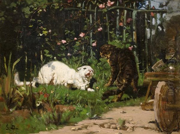 Zwei Streitende Katzen Im Bauerngarten - view 1