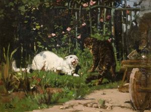 Zwei Streitende Katzen Im Bauerngarten