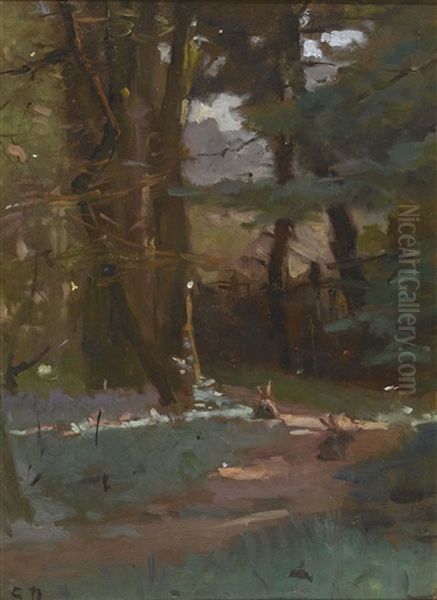 Der Waldweg - view 1