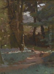 Der Waldweg