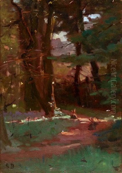 Hase In Einer Waldlichtung - view 1