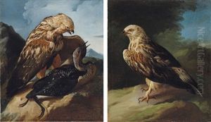 A Buzzard Attacking A Cormorant In A Landscape (+ A Buzzard In A Landscape; Pair)