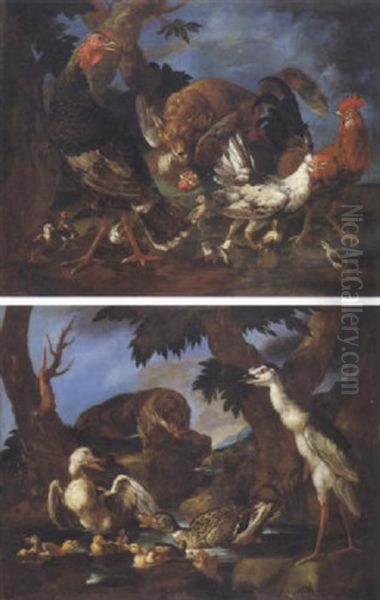 Uccelli Ed Animali In Un Paesaggio - view 1