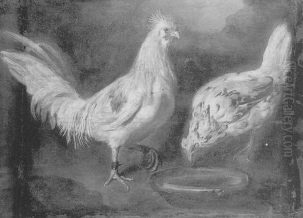 Coq Et Poule - view 1