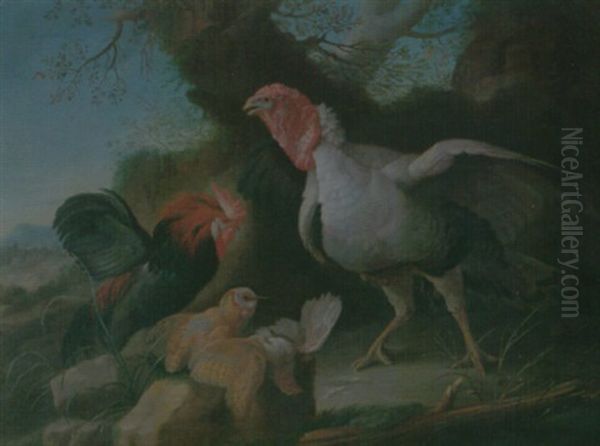 Still Life Of A Turkey, A Bantam, A Barn Owl And A Grey Partridge In A Rocky Landscape - view 1