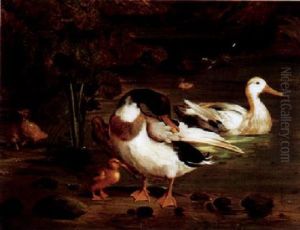 Wildenten An Einem Teich by Giorgio (Count) Durante