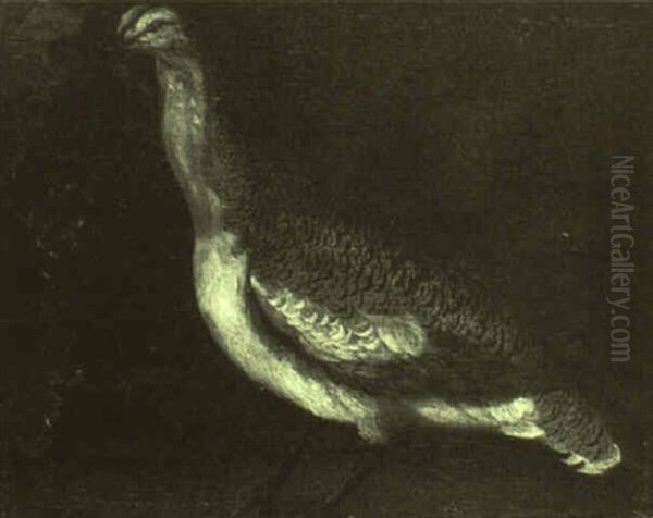 Portrait Of A Bustard In A Rocky Landscape - view 1
