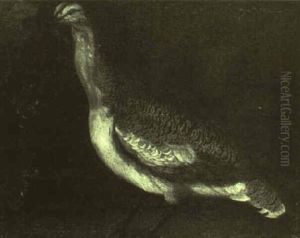 Portrait Of A Bustard In A Rocky Landscape