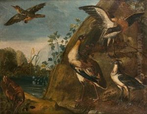 Volatiles Pres D'un Plan D'eau by Giorgio Duranti