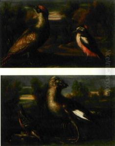 Faglar I Landskap (+ Another; Pair) by Giorgio Duranti
