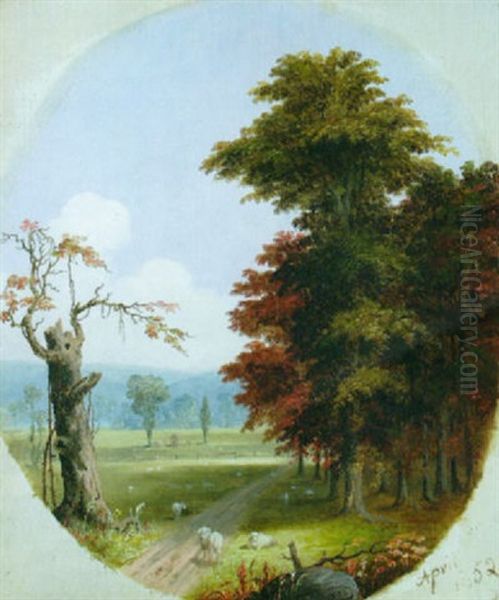 Spring Scene With Sheep - view 1