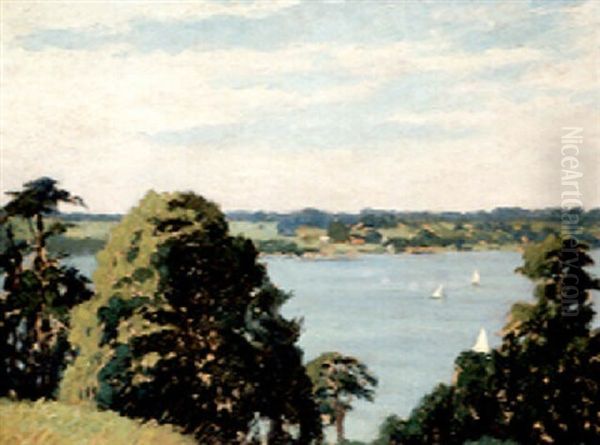 Sommerliche Seenlandschaft Mit Segelbooten (um Berlin?) - view 1