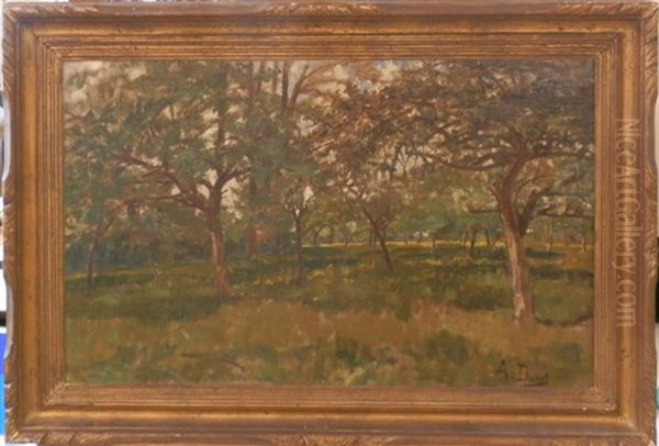 Paysage - view 1
