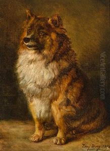 A Pomeranian by Antoine (Tony) Dury