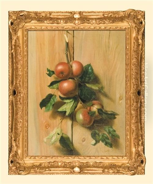 Apple-tree Branch - view 1