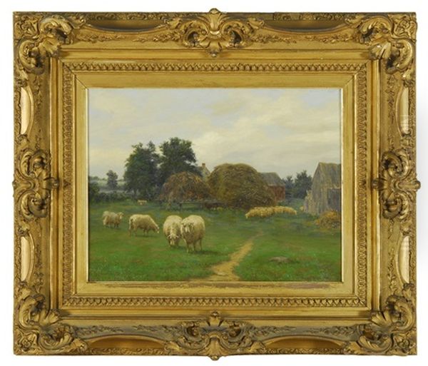 Farmyard Scene With Grazing Sheep - view 1