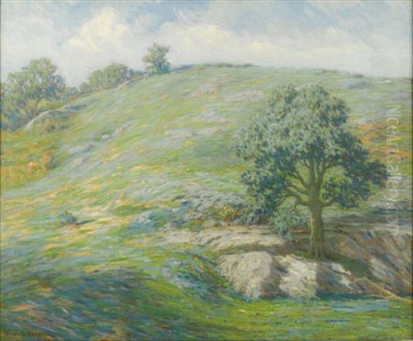 Summer Landscape - view 1