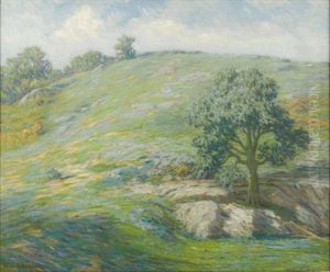 Summer Landscape Summer Landscape