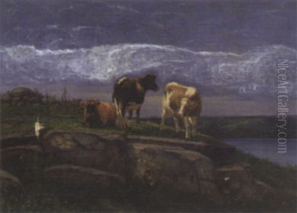 Three Cows Grazing On A Rocky Hillside Near A Lake - view 1
