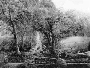 La Chasse Au Lievre