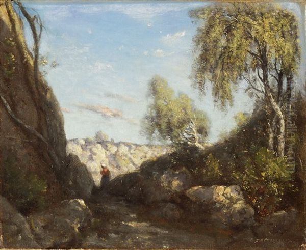 Felsige Baumlandschaft - view 1
