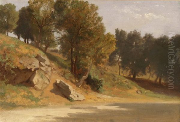 Waldrand - view 1
