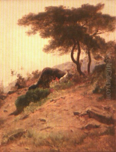 Chevres Dans Un Paysage Mediterraneen - view 1