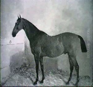 Braunes Pferd Nach Links Gewendet Im Stall Stehend by John Duval