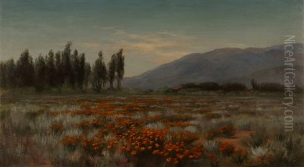 Field Of Poppies - view 1