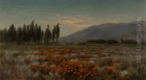 Field Of Poppies