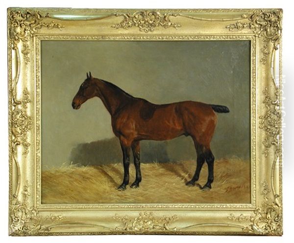 General, A Bay Hunter In A Stable by John Duvall