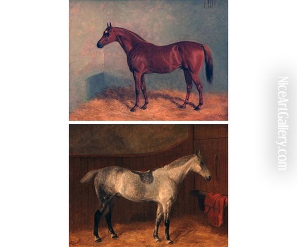 Horses In A Stable - view 1