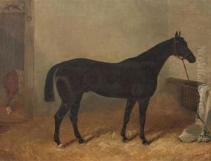 Seal Brown Horse In A Stable