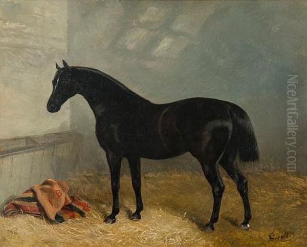 "elmsdale" In A Stable - view 1