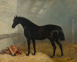"elmsdale" In A Stable "elmsdale" In A Stable