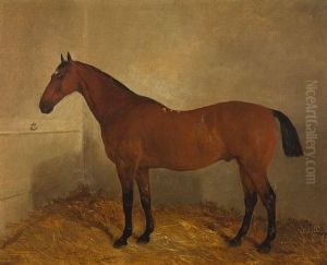 Bay Horse In A Stable Bay Horse In A Stable