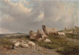 Sheep And Lambs On A Hillside by John Duvall
